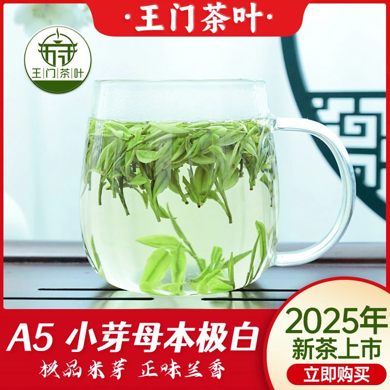 【撩头小芽】2025年新茶安吉白茶A5正宗安吉高山原产兰花香好茶浓郁