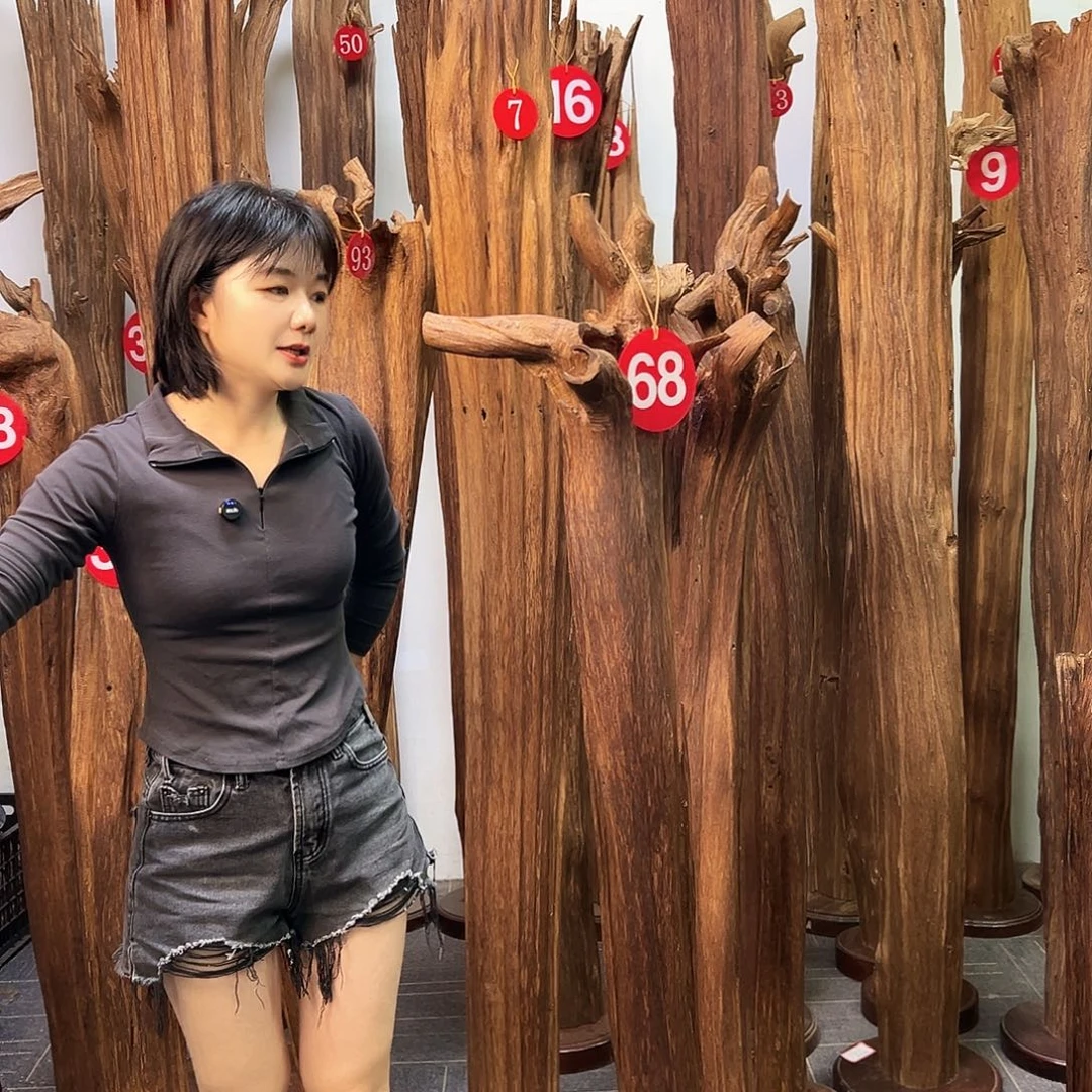 沉香碎屑沉香天然沉香原料香料