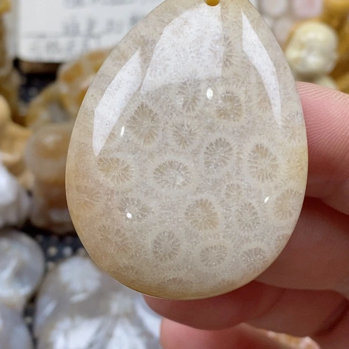 颈饰未镶嵌硅化珊瑚（珊瑚玉）