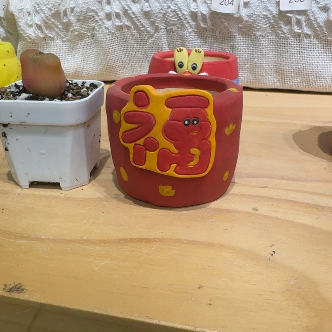 红陶浅****?0206-79盆盆盆