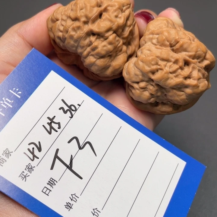 核桃鱼子文42 45 36