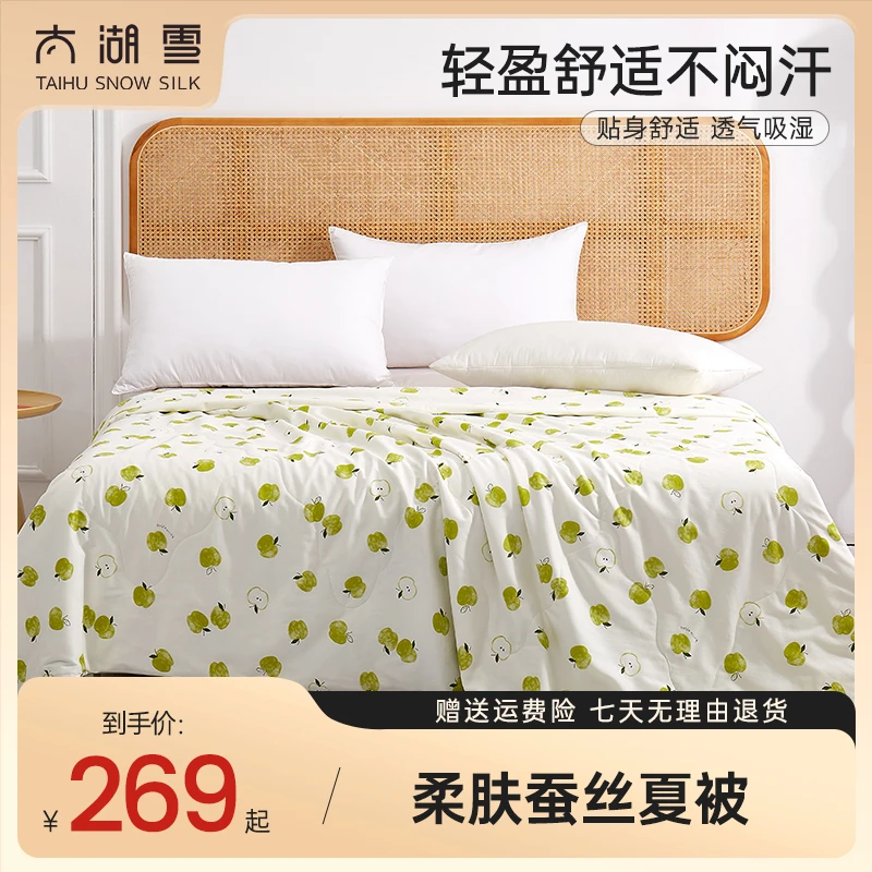 太湖雪【618狂欢购】夏日清苹100%蚕丝柔肤透气便携被薄款空调被