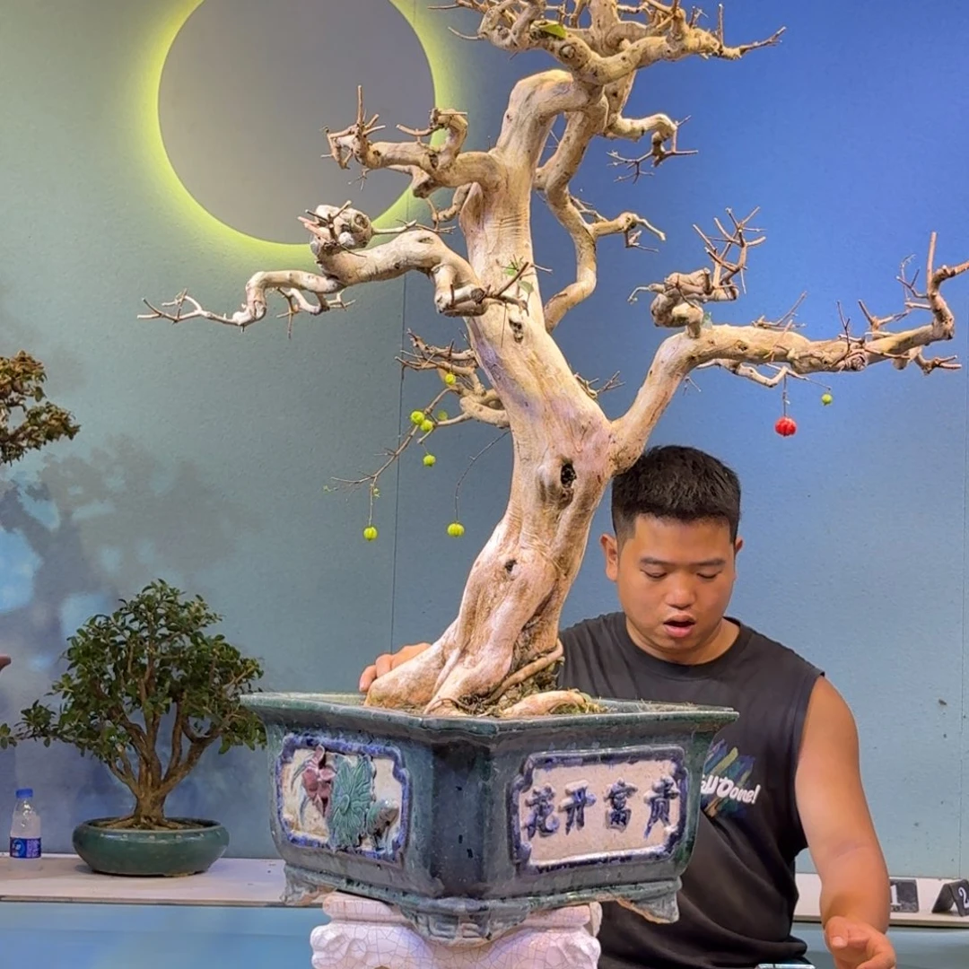 看***了无花朵巴西红果一物一拍