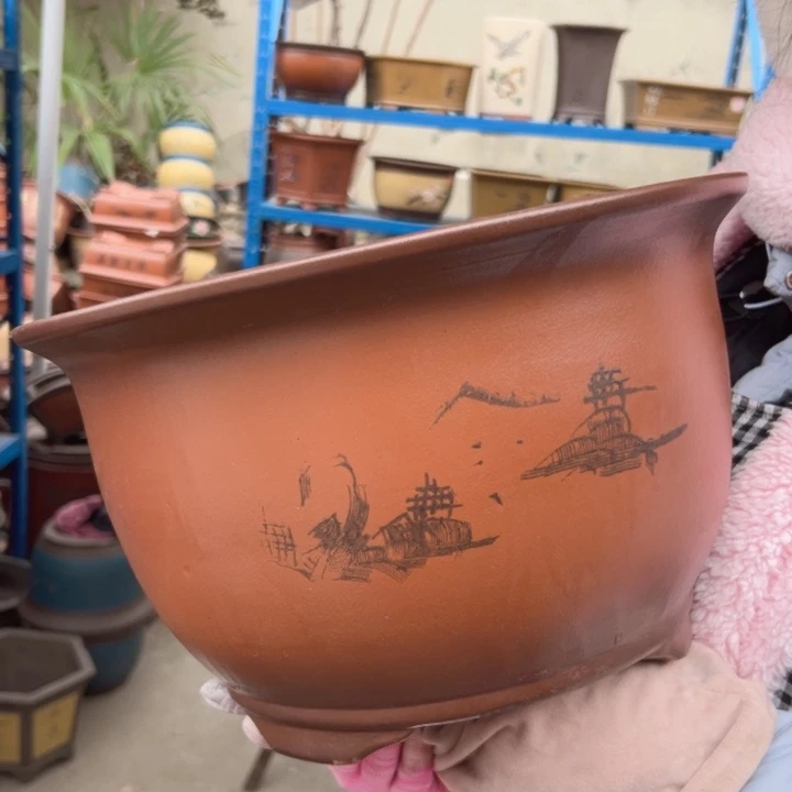 30紫气东来花盆花盆花盆