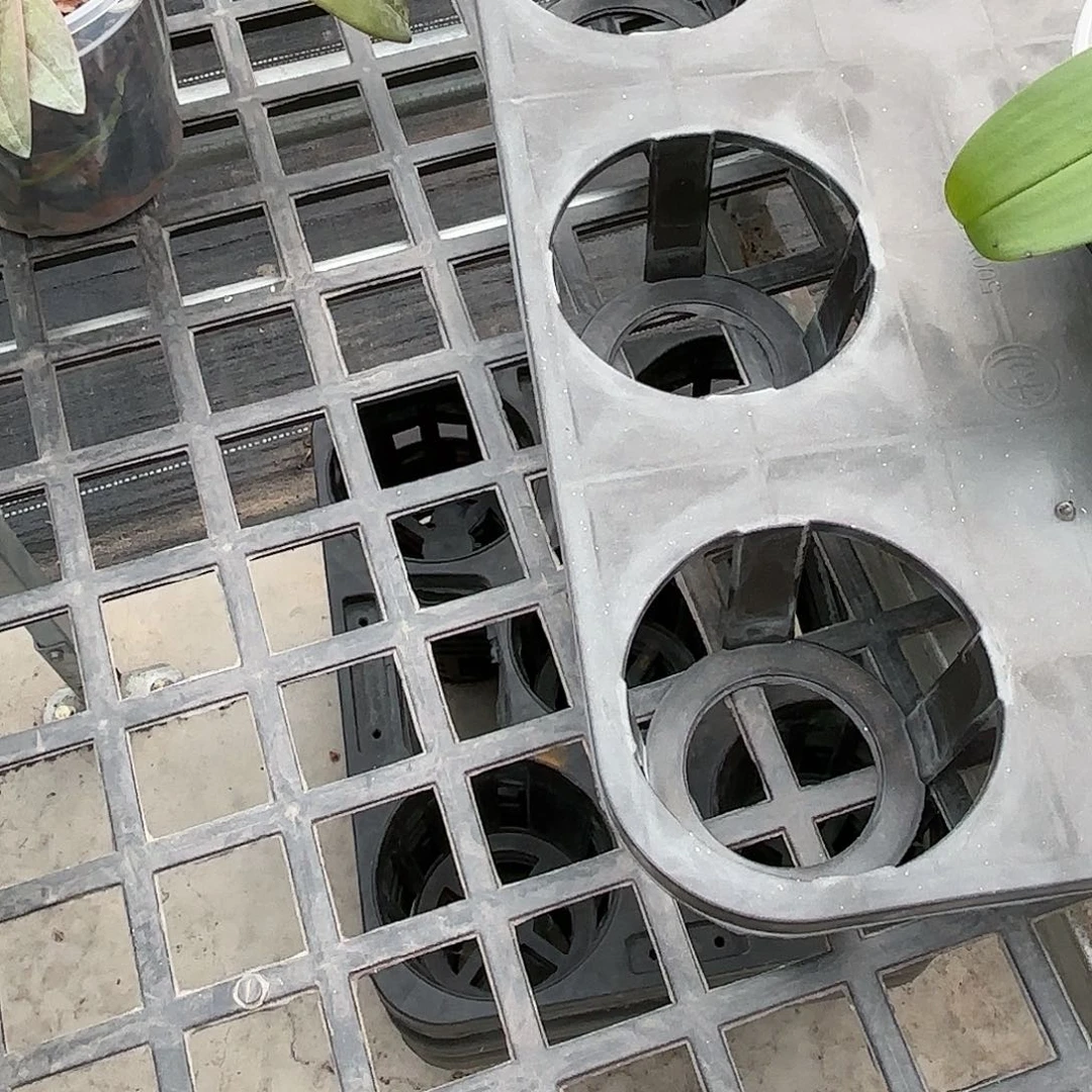 随***缘当前无花栽培后可以开花保温