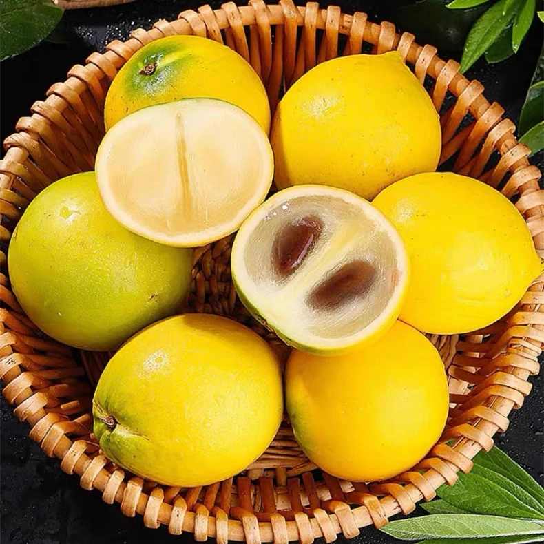 【顺丰包邮】云南稀有牛奶黄晶果新鲜黄宝石冬蜜果孕妇当季高端水果