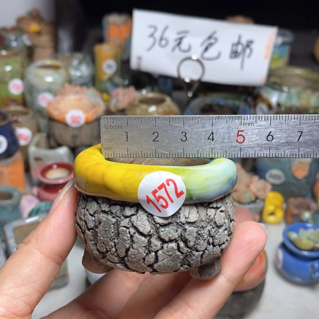 拍3送一个小礼物