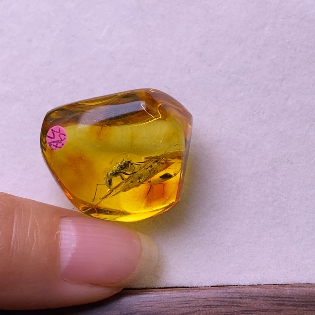 未镶嵌琥珀裸石虫珀