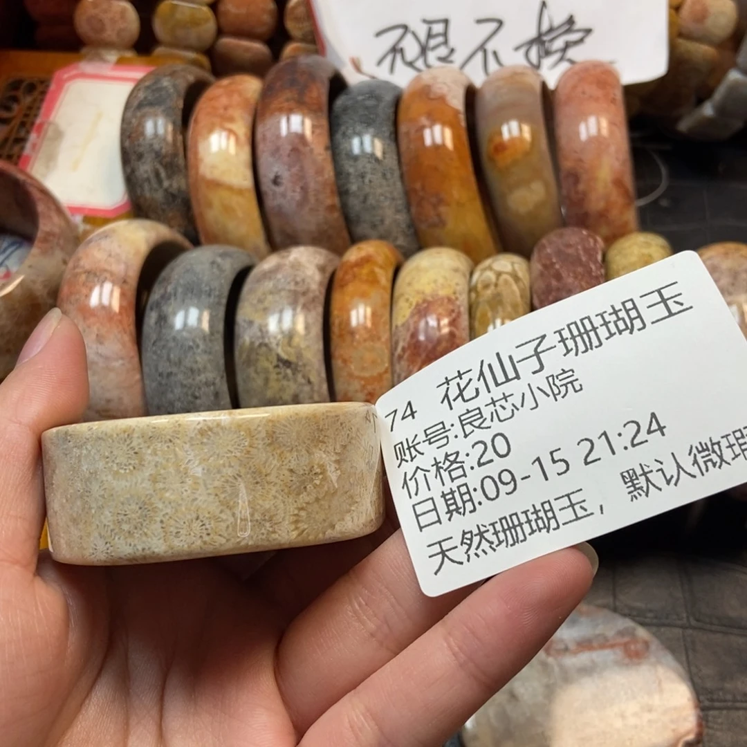 良***院未镶嵌硅化珊瑚（珊瑚玉）珠宝半成品74