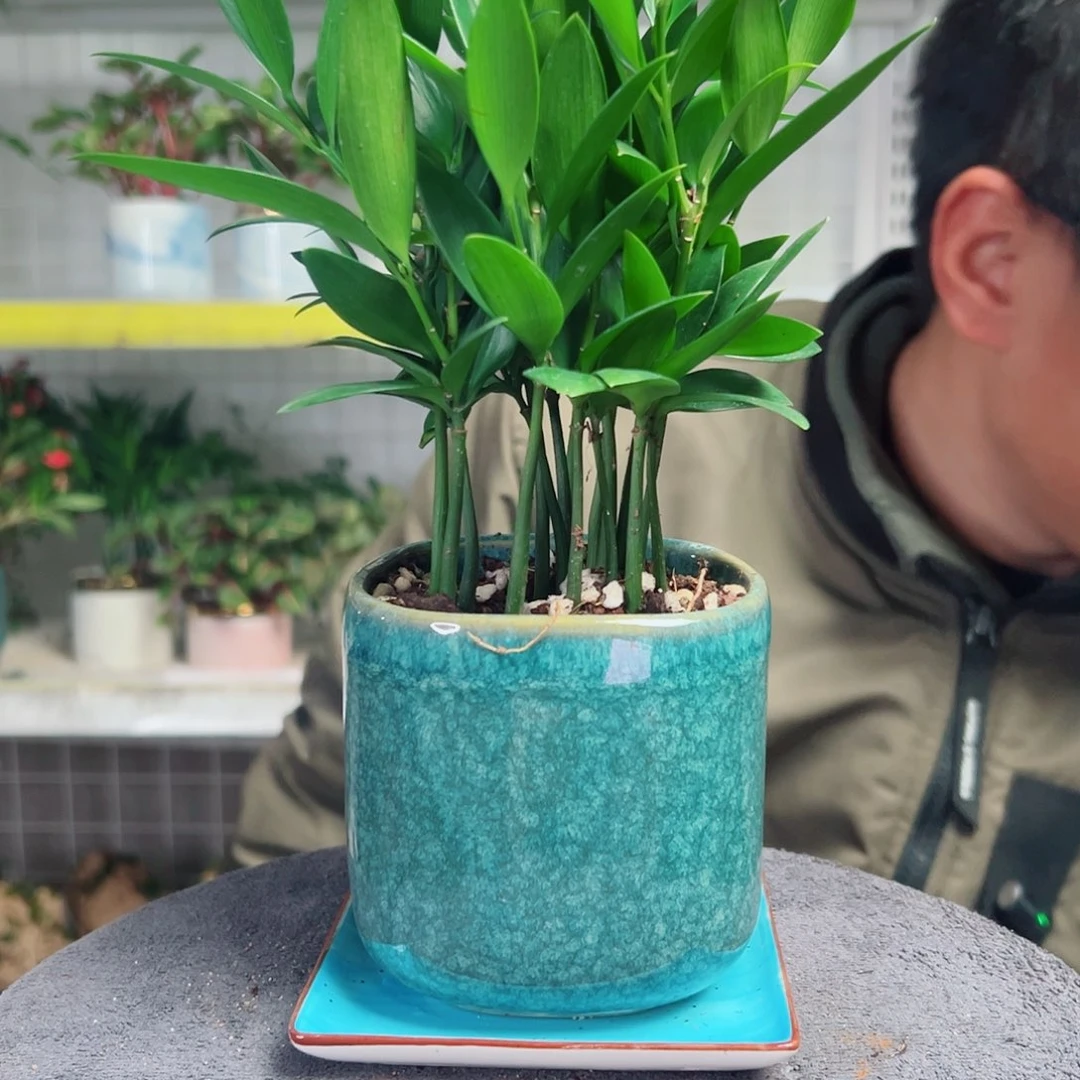 实***沈无花朵28