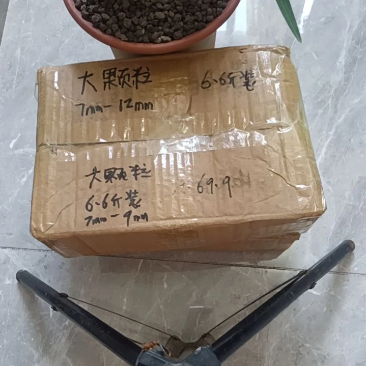 华****兰菌颗粒大颗粒6.6斤