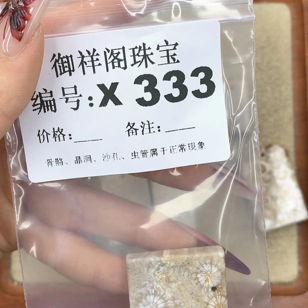 硅化珊瑚（珊瑚玉）颈饰未镶嵌M**.
