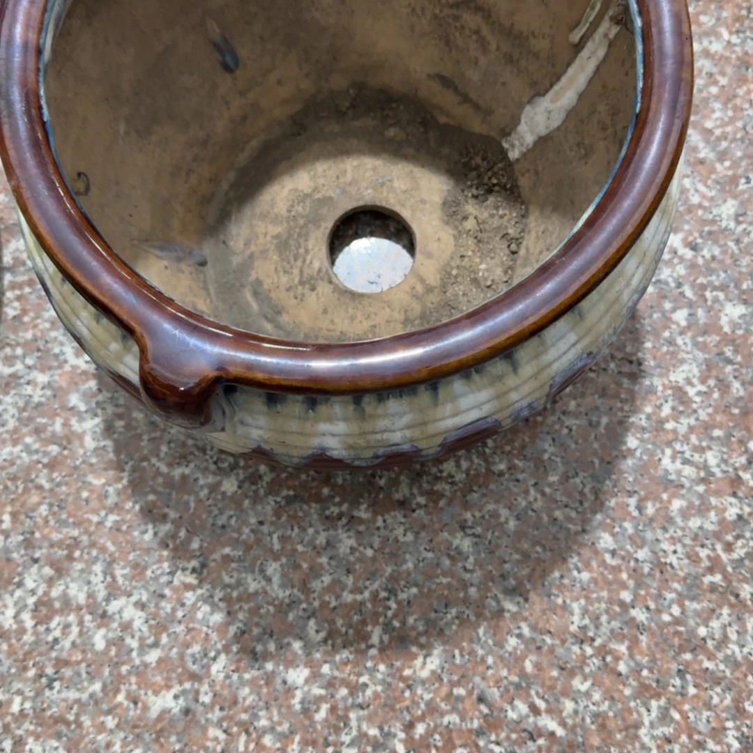 清***客杂色豆（科檀/科特迪瓦檀木）