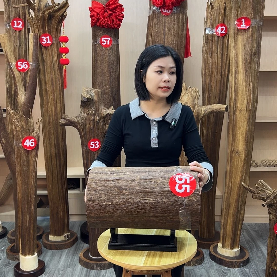 沉香碎屑沉香沉香