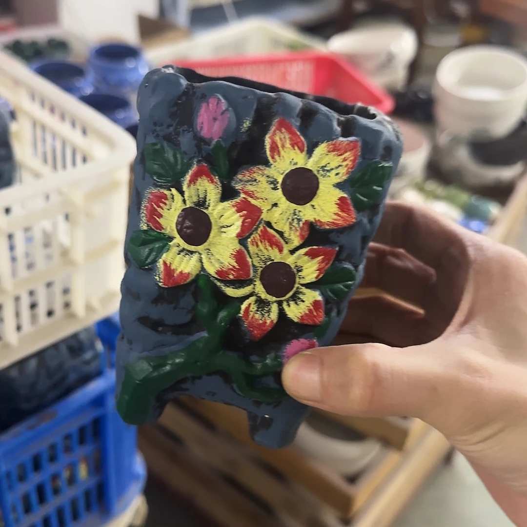 福利局绿植多肉盆［凑9元包邮24小时发］