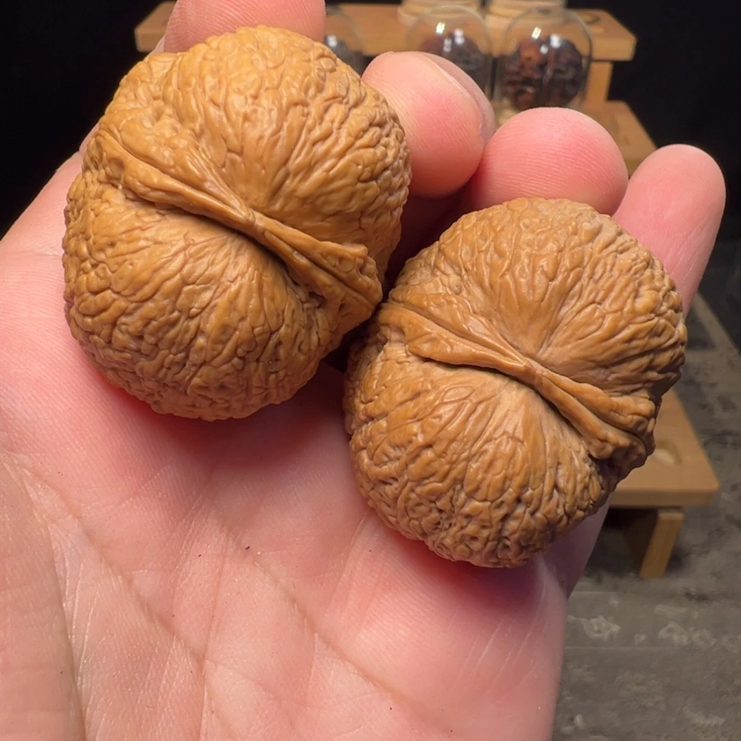 文玩核桃把件金毛狮王39.5mm