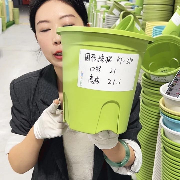 正品圆控口21高21果绿8只无托