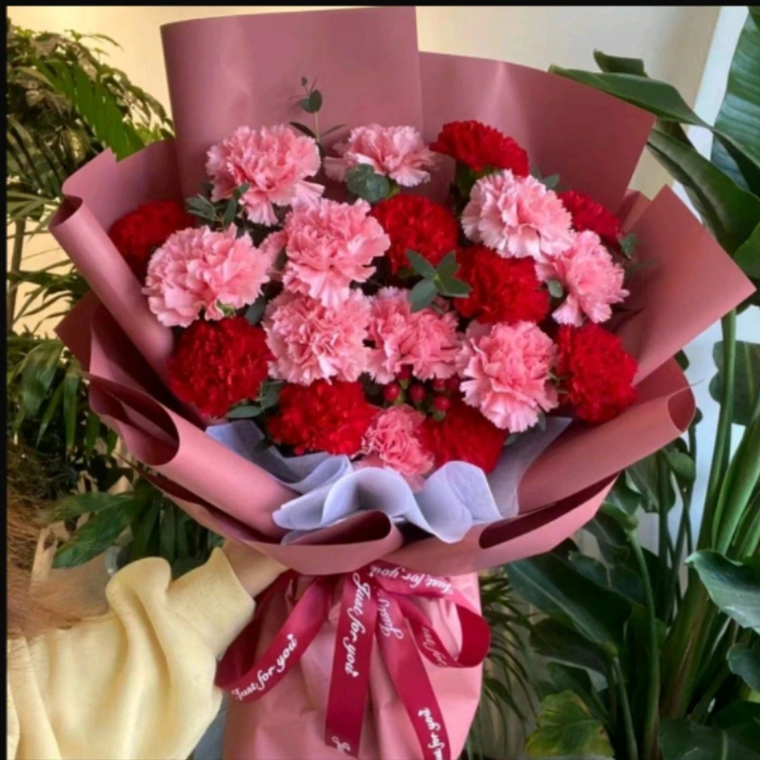 19朵红色粉色康乃馨混搭花束