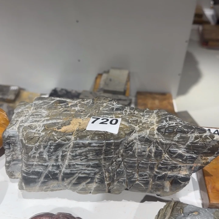 11111111如*见11111111