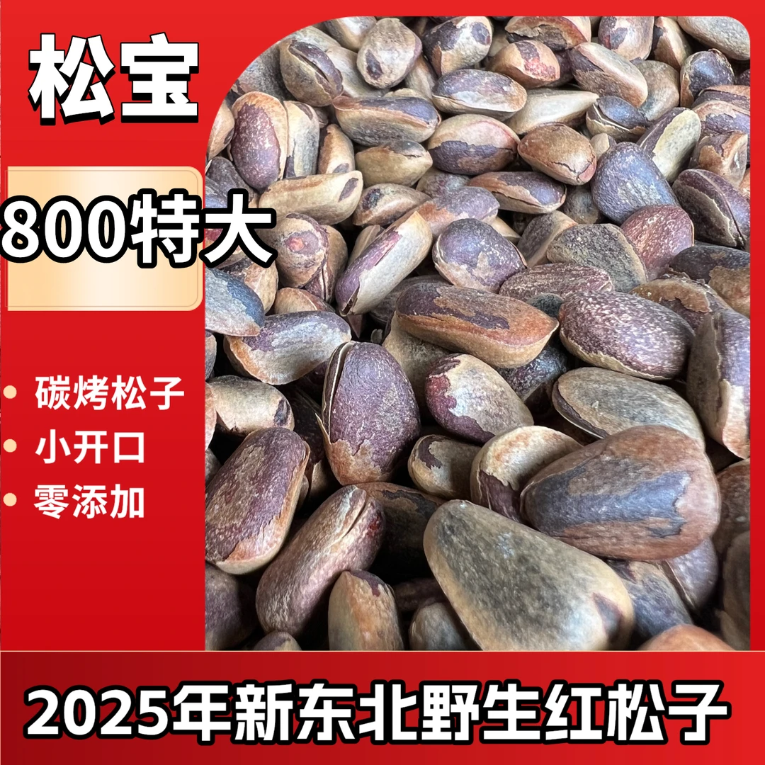 2025新原味碳烤松子800特大颗粒