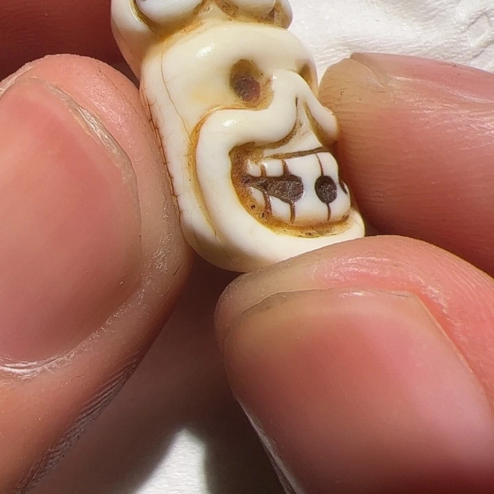 香榧木在这里的时候