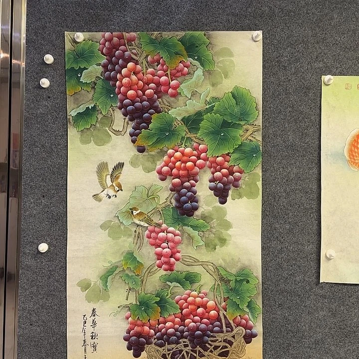 国画葡萄111222255555663