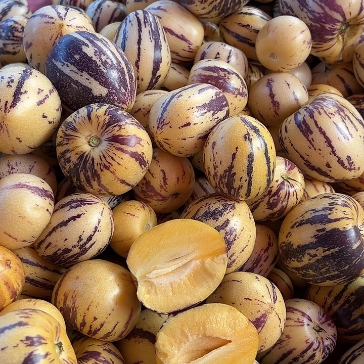 中国大陆人参果5斤