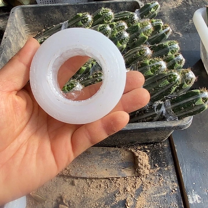 嫁接膜一卷呀包邮