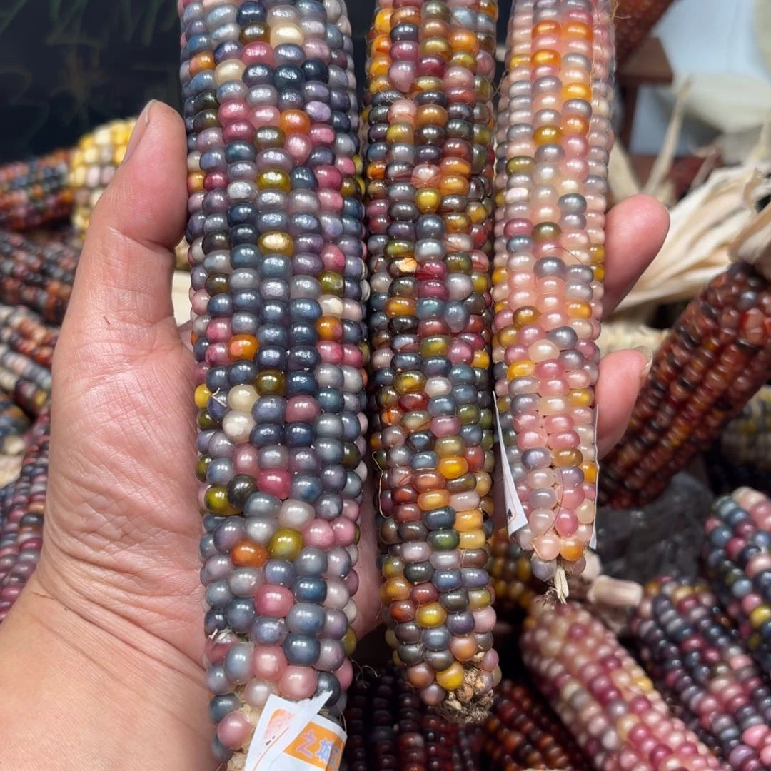 柏香籽/百香籽吊坠狐*呀