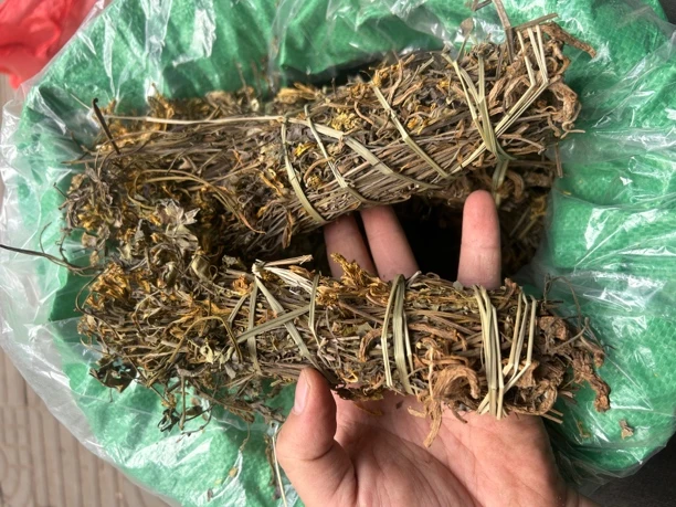 广西岩黄连 中草本岩黄连 新货晒干 无硫无添加