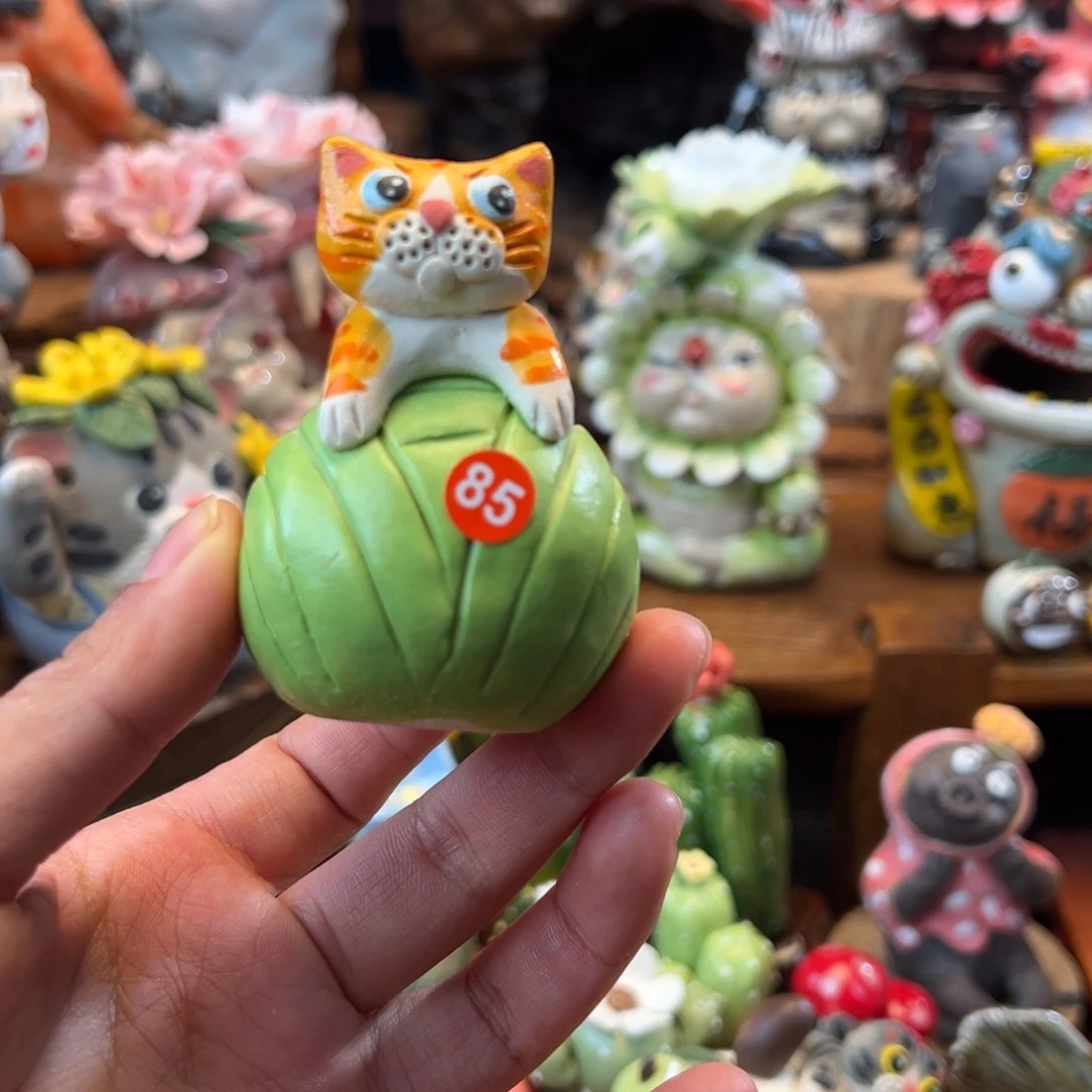 每日有新品每日有新品