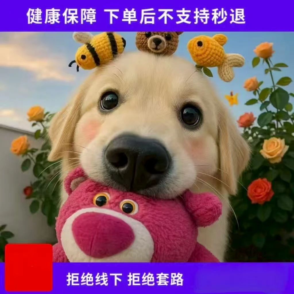直播间一物一拍不支持秒拍秒退下单后秒发货各种狗狗通用链接