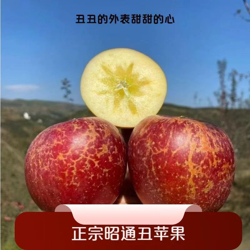 XYY云南昭通糖心丑苹果脆甜多汁产地直发