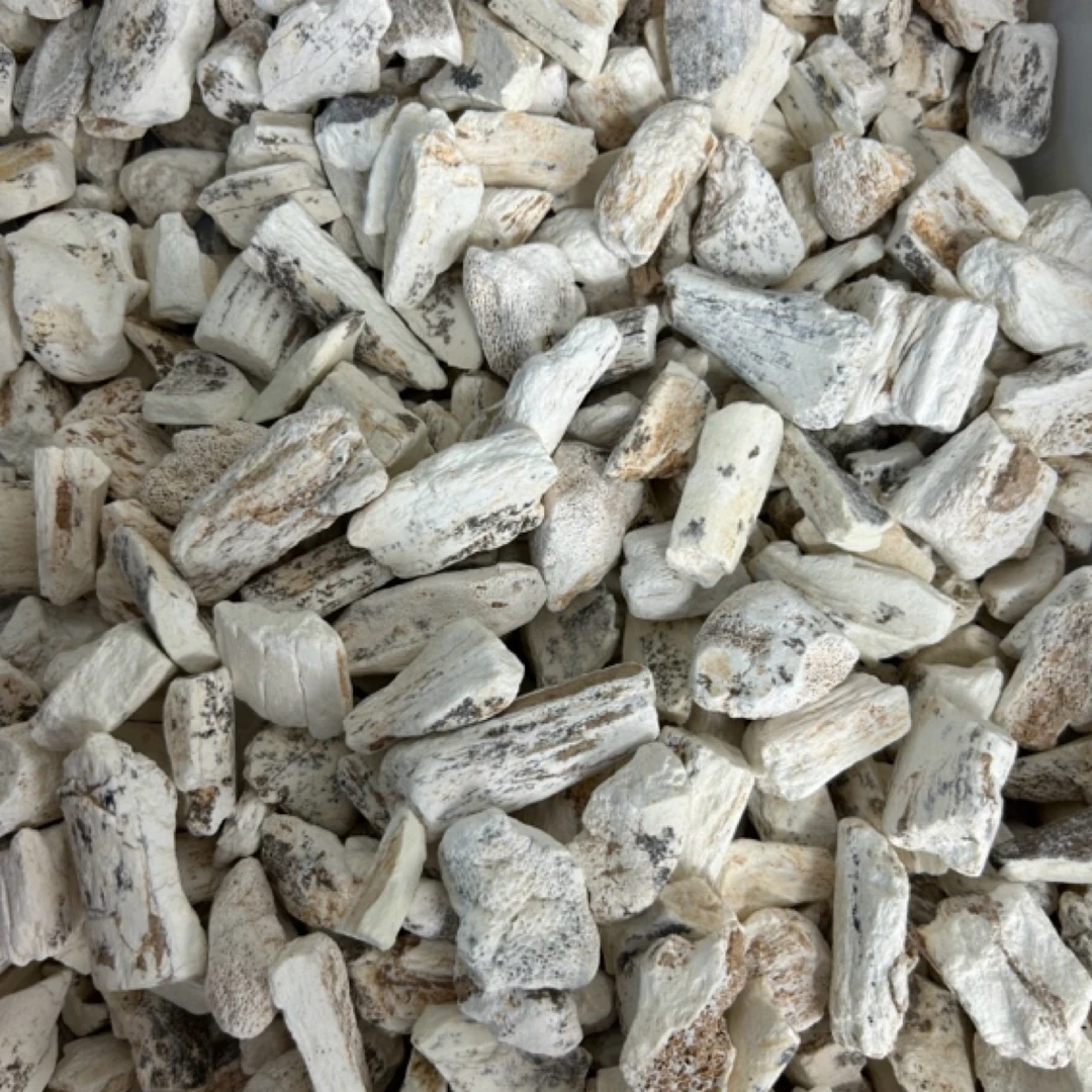 龙骨正品花斑水洗龙骨