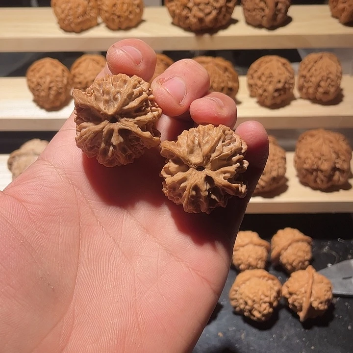 苹果园狮子头全品无修3