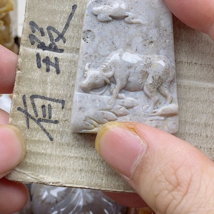 颈饰未镶嵌硅化珊瑚（珊瑚玉）￥****猫小