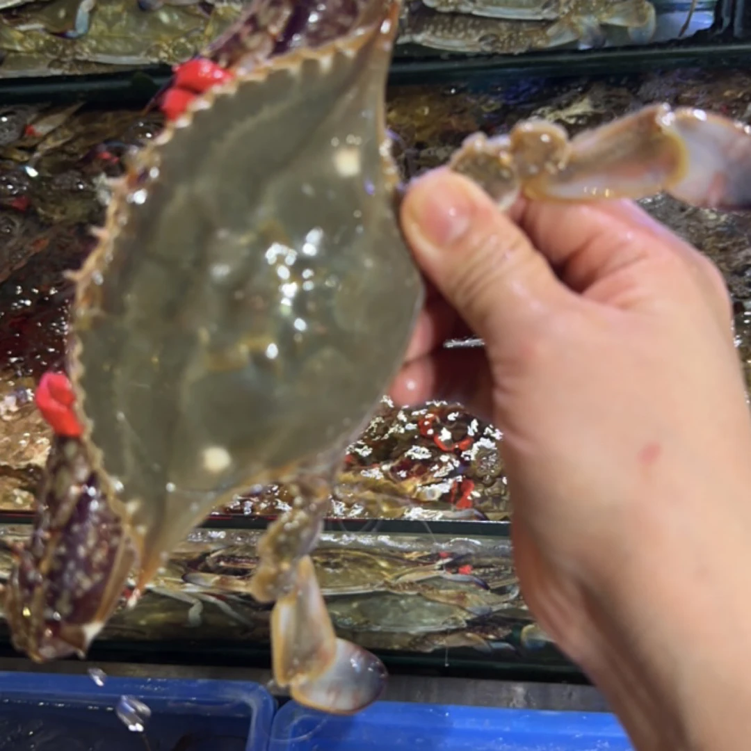大公梭子蟹2斤装(约4-5两一只)【保鲜不保活】缺小腿正常鲜活发货到家保鲜不包活梭子蟹同城