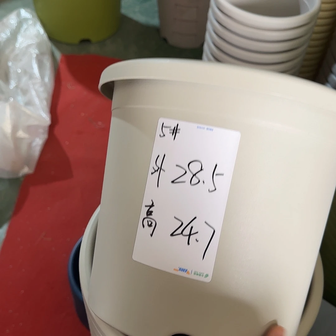 树脂四季5号无托6个灰白微瑕