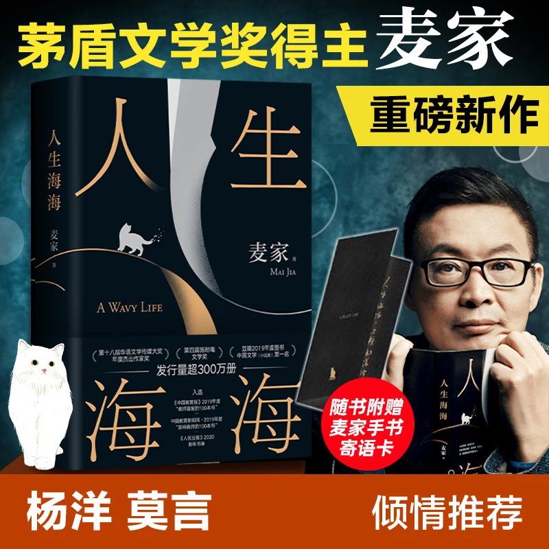 人生海海 麦家 茅盾文学奖得主 风声解密暗算后人生哲学文学小说