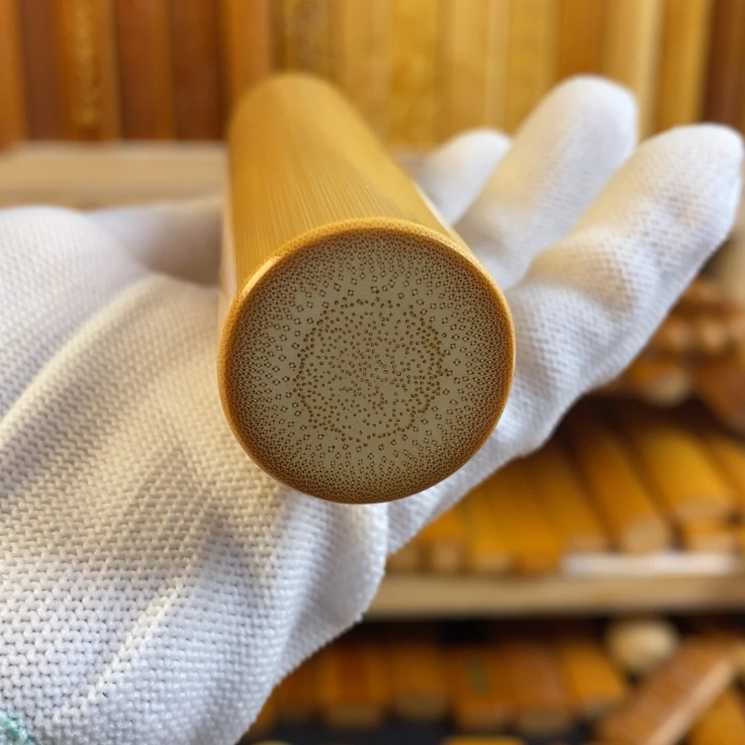 竹实心玉竹 一物一图