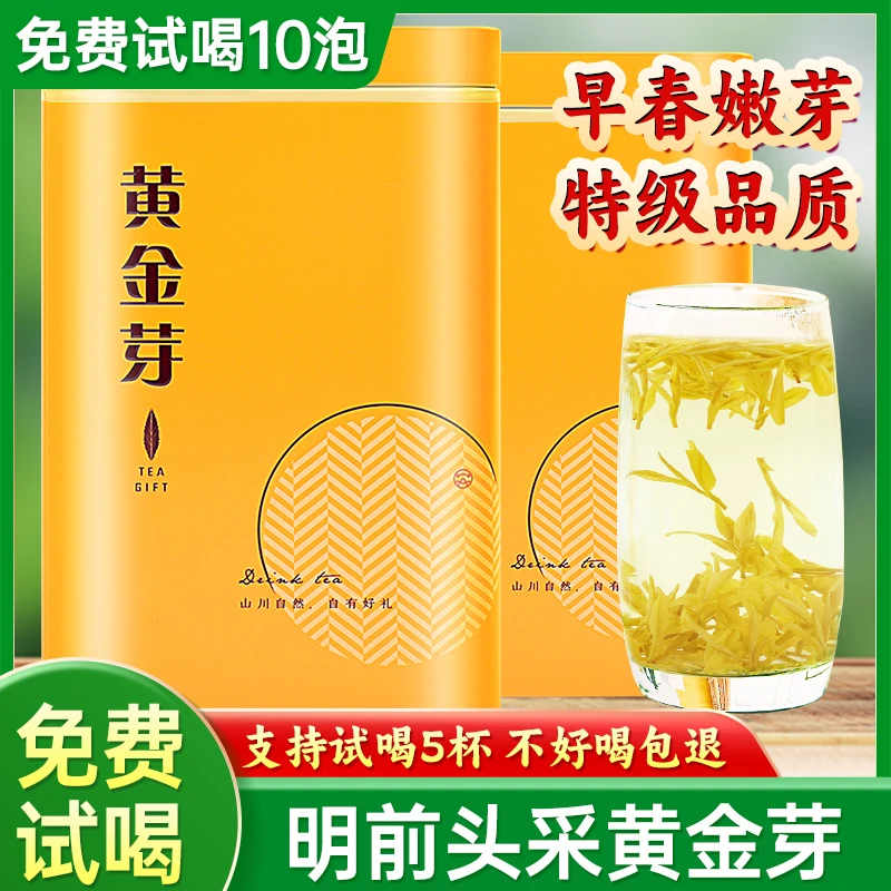 【黄金芽A1】2025新茶黄金芽明前春安吉绿茶浓香型茶叶白茶礼盒罐装