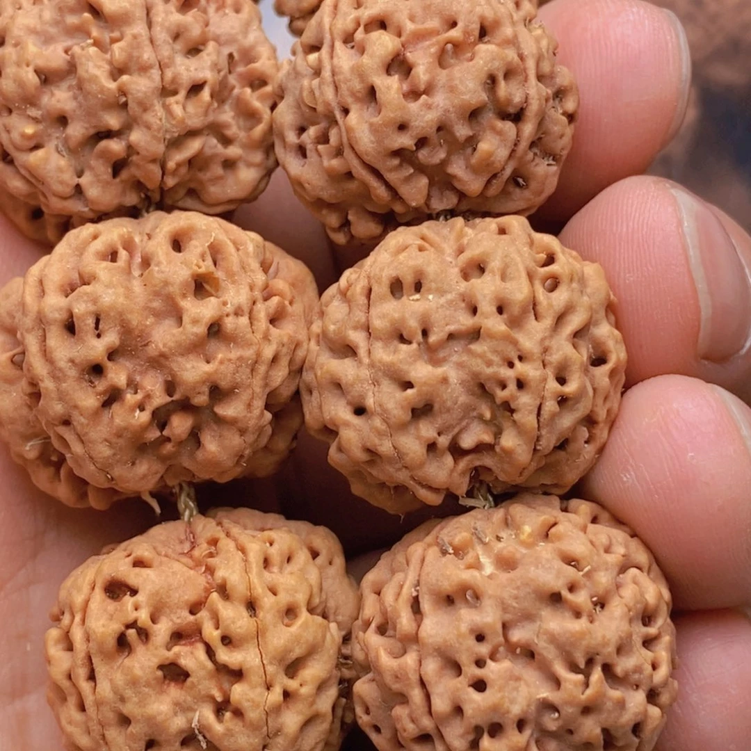 金刚菩提吊坠5瓣23粗筋双龙