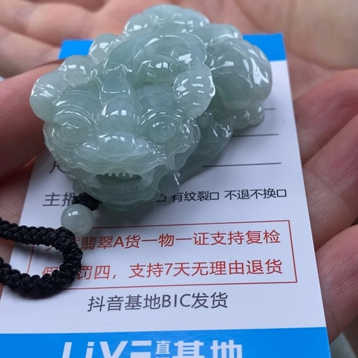 为****翡翠未镶嵌颈饰多人貔貅