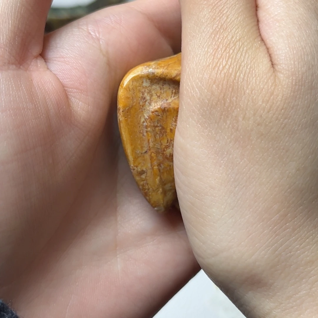 无***尊透闪石质玉未镶嵌颈饰