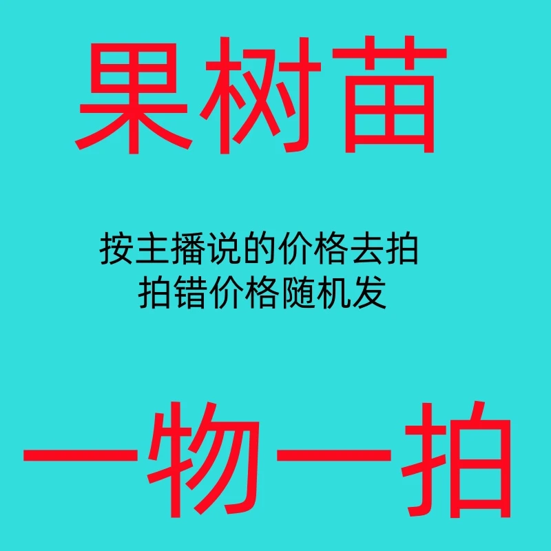 果树苗 一物一拍