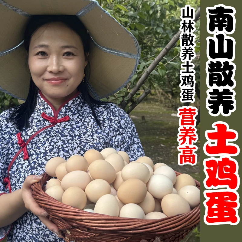 农家散养土鸡蛋50枚一箱营养小孩早餐正宗新鲜当日现捡