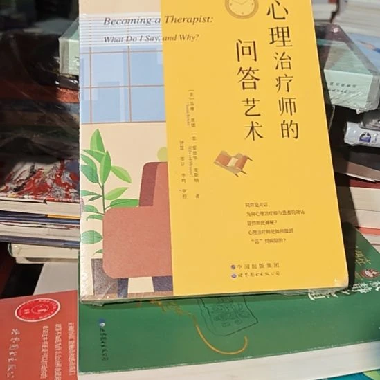 心理治疗师的问答艺术瓶装务必塑封微瑕
