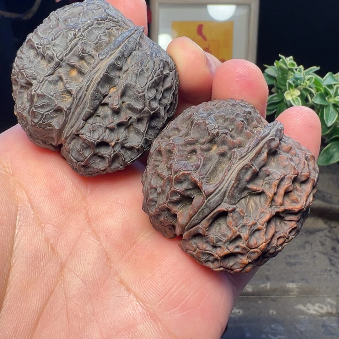 文玩核桃吊坠龟甲元宝43mm