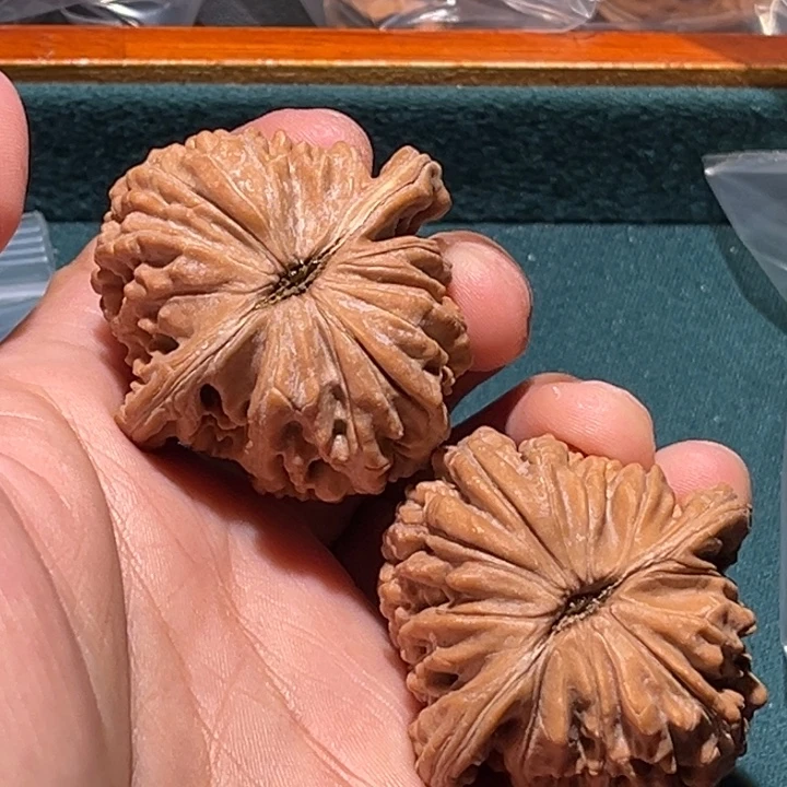 把件文玩核桃41楼子毕业对