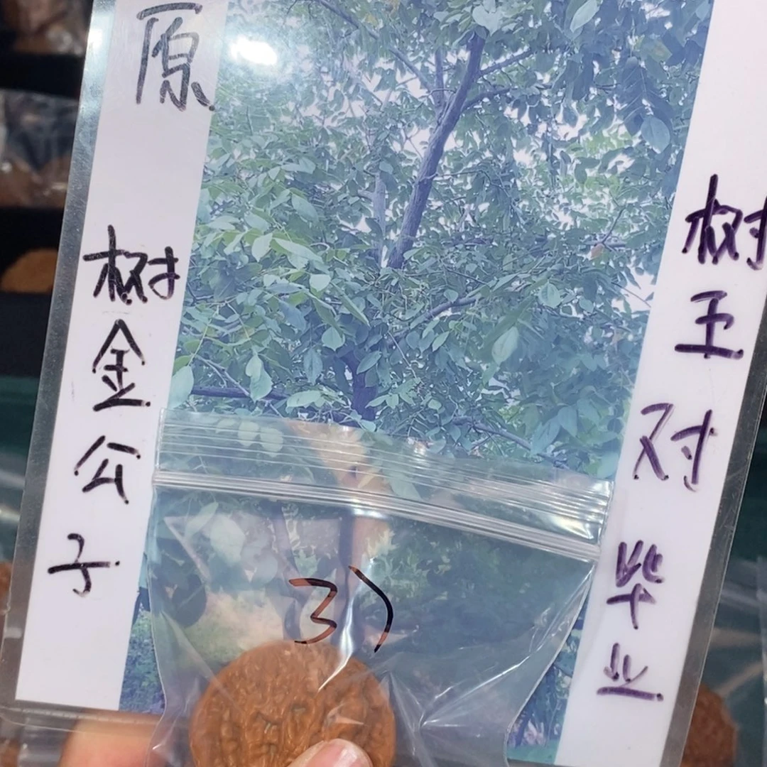 文玩核桃吊坠37金公子